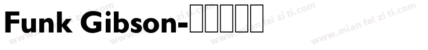 Funk Gibson字体转换